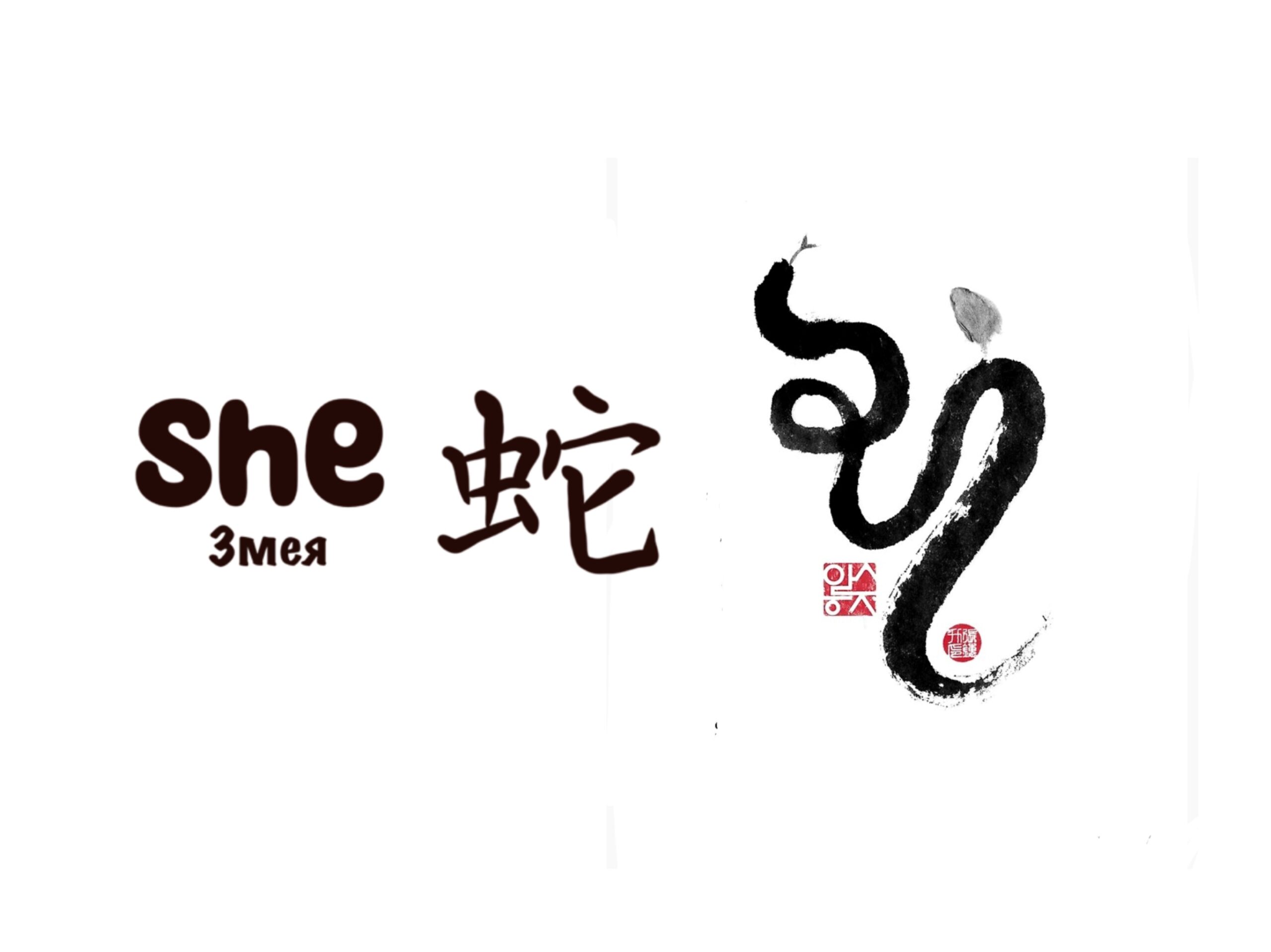 Magic 8 - She