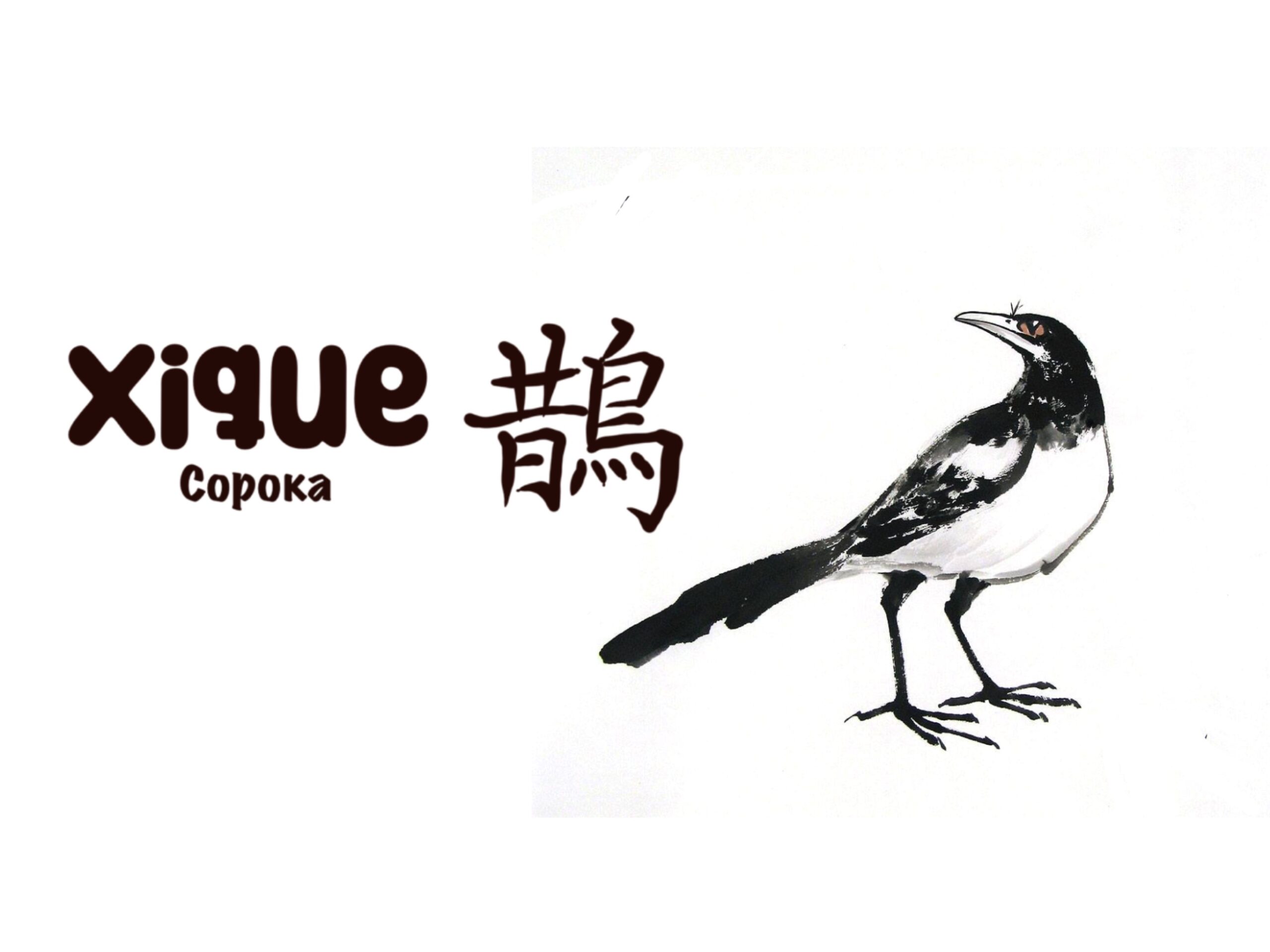 Magic 8 - Xique