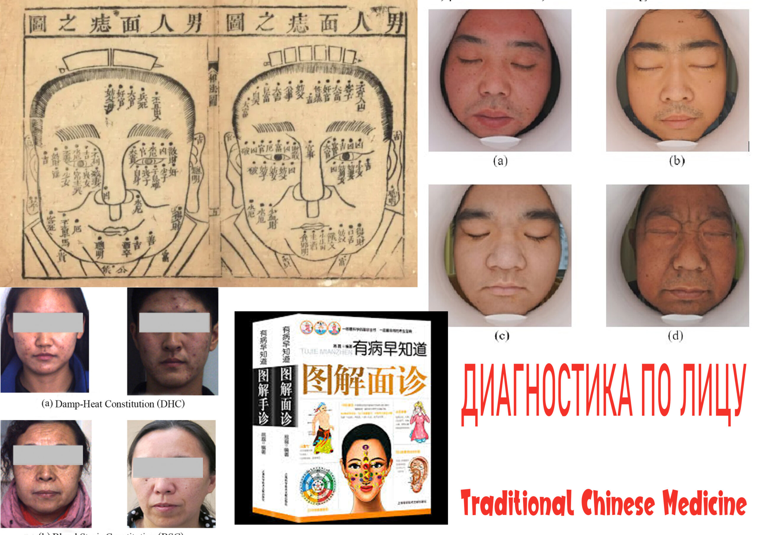 Face Diagnostic Course